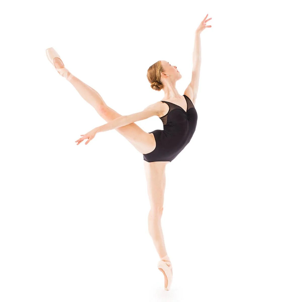 Gaynor Minden Madame X Leotard - Image 5